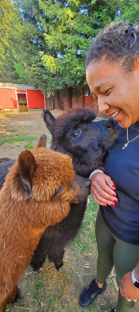 Visitor smiles while 2 inquisitive alpaca named Maki and Pele sniff her hands and face.