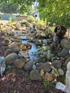 small stream with gentle waterfall