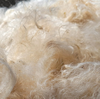 Skirting a Fleece: Hands-on